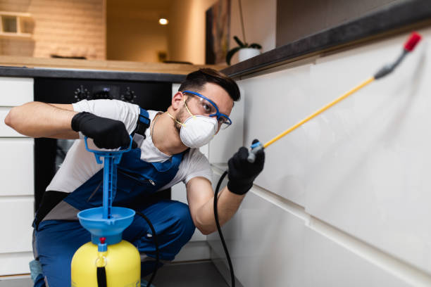 Best Local Pest Control Services  in Lubeck, WV