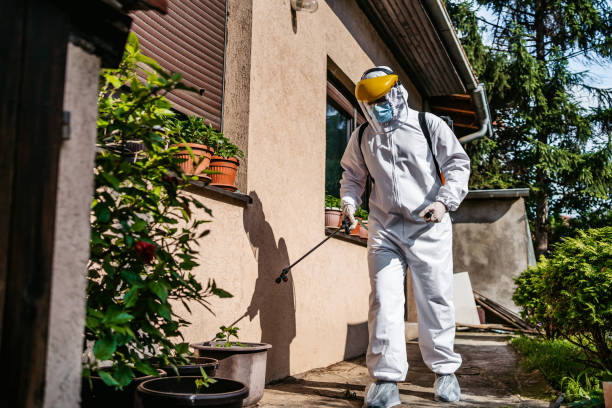 Best Pest Control Near Me in Lubeck, WV