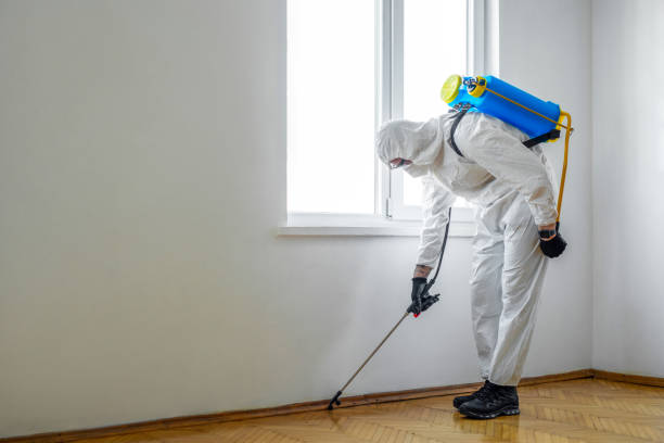 Best Ant Control Services  in Lubeck, WV