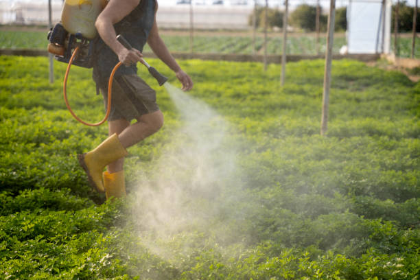 Best Commercial Pest Control Services  in Lubeck, WV