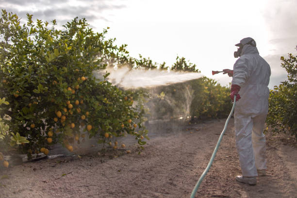 Best Wildlife Control Services  in Lubeck, WV