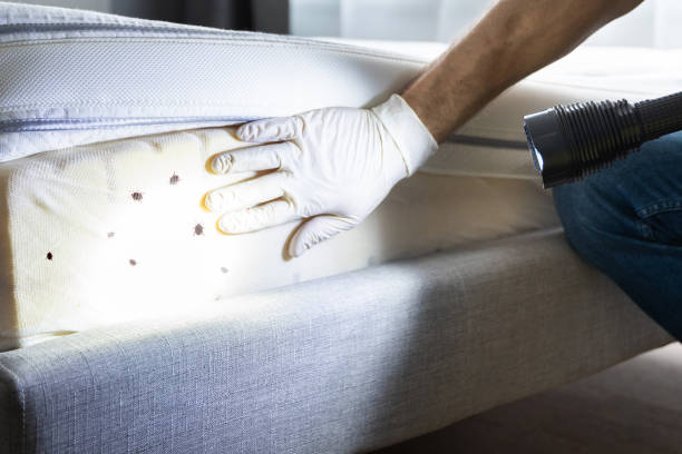  Lubeck, WV Pest Control Pros