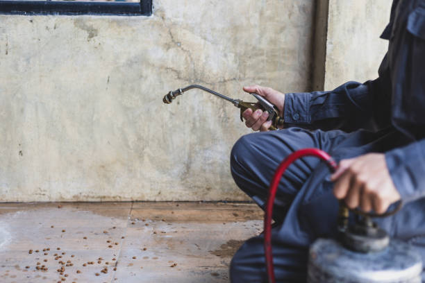 Best Best Pest Control Companies  in Lubeck, WV